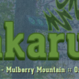 The Wakarusa Music Festival in Ozark, Arkansas, returns for 2014. The festival runs from June 5-8. The final lineup has just been announced, and it has plenty of great music, including The […]